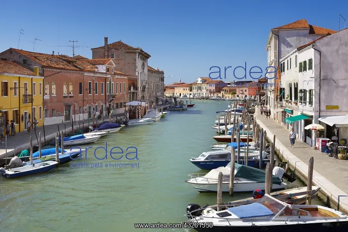 : DIG, geography / travel, Italy, Venice Lagoon, Murano : DIG, geography / travel, Italy, Venice Lagoon, Murano