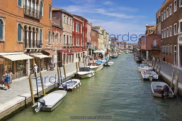 : DIG, geography / travel, Italy, Venice Lagoon, Murano : DIG, geography / travel, Italy, Venice Lagoon, Murano