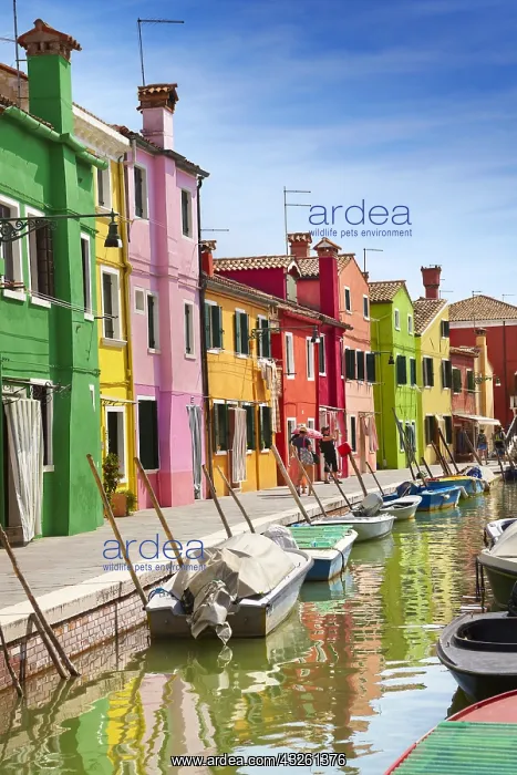  : DIG, geography  /  travel, Italy, Venice Lagoon, Burano