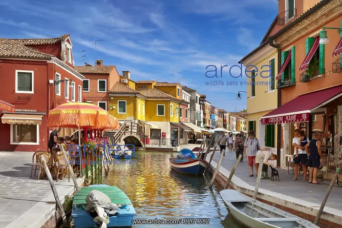 : DIG, geography / travel, Italy, Venice Lagoon, Burano : DIG, geography / travel, Italy, Venice Lagoon, Burano