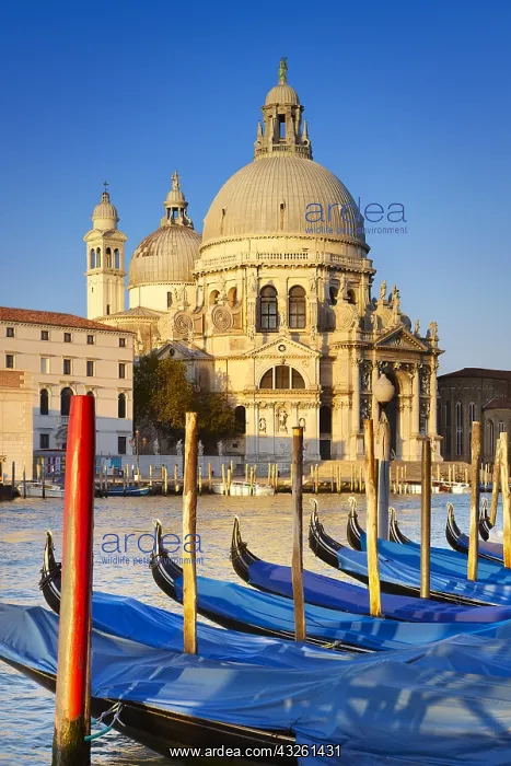 : DIG, geography / travel, Italy, Venice, Santa Maria : DIG, geography / travel, Italy, Venice, Santa Maria