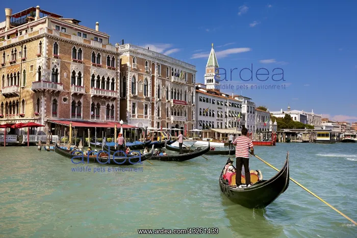 : DIG, geography / travel, Italy, Venice, Grand Canal : DIG, geography / travel, Italy, Venice, Grand Canal