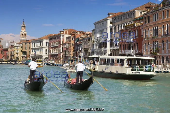 : DIG, geography / travel, Italy, Venice, Grand Canal : DIG, geography / travel, Italy, Venice, Grand Canal