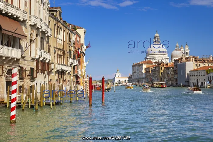 : DIG, geography / travel, Italy, Venice, Grand Canal : DIG, geography / travel, Italy, Venice, Grand Canal