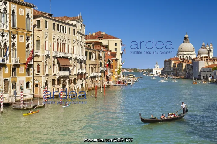 : DIG, geography / travel, Italy, Venice, Grand Canal : DIG, geography / travel, Italy, Venice, Grand Canal