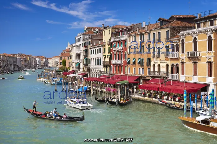: DIG, geography / travel, Italy, Venice, Grand Canal : DIG, geography / travel, Italy, Venice, Grand Canal