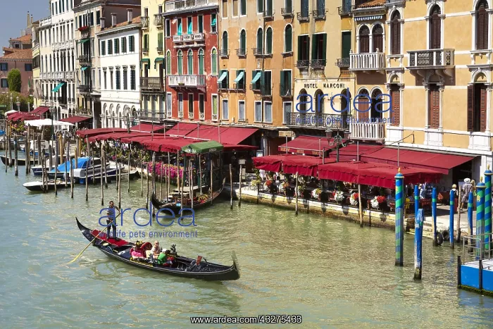 : DIG, geography / travel, Italy, Venice, Grand Canal : DIG, geography / travel, Italy, Venice, Grand Canal