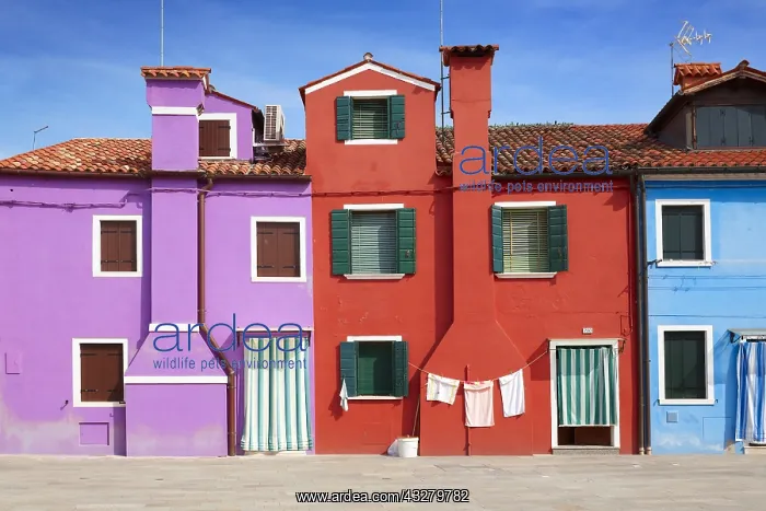 : DIG, geography / travel, Italy, Venice Lagoon, Burano : DIG, geography / travel, Italy, Venice Lagoon, Burano