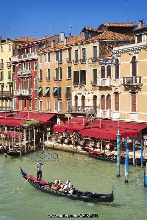 : DIG, geography / travel, Italy, Venice, Grand Canal : DIG, geography / travel, Italy, Venice, Grand Canal
