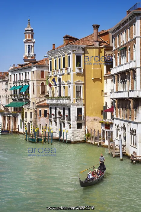 : DIG, geography / travel, Italy, Venice, Grand Canal : DIG, geography / travel, Italy, Venice, Grand Canal
