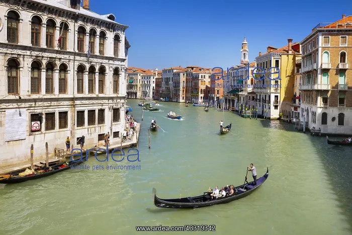 : DIG, geography / travel, Italy, Venice, Grand Canal : DIG, geography / travel, Italy, Venice, Grand Canal