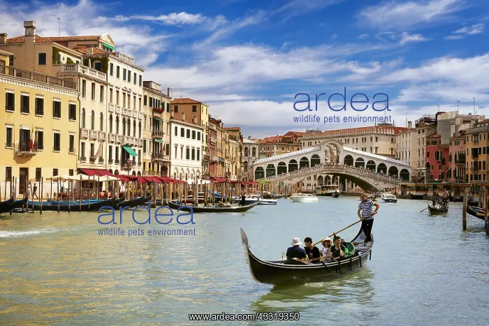 : DIG, geography / travel, Italy, Venice, Grand Canal : DIG, geography / travel, Italy, Venice, Grand Canal