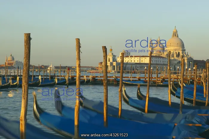 : DIG, geography / travel, Italy, Gondolas moored : DIG, geography / travel, Italy, Gondolas moored
