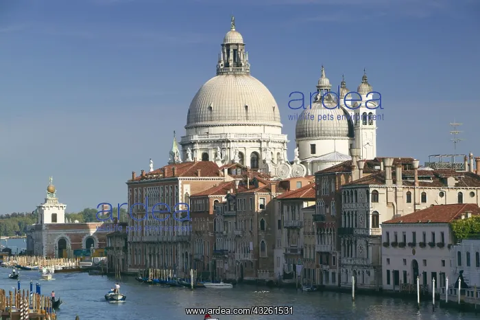 : DIG, geography / travel, Italy, The Grand Canal : DIG, geography / travel, Italy, The Grand Canal