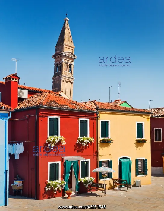: DIG, geography / travel, Italy, The lean of one : DIG, geography / travel, Italy, The lean of one