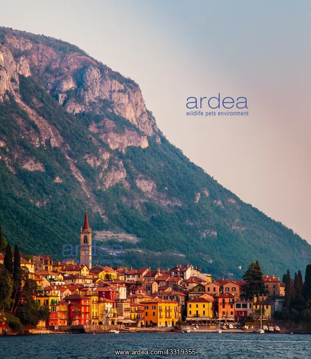 : DIG, geography / travel, Italy, A mountain towers : DIG, geography / travel, Italy, A mountain towers