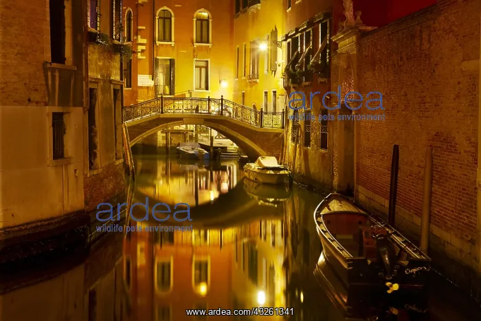 : DIG, geography / travel, Italy, Venice, canal near : DIG, geography / travel, Italy, Venice, canal near