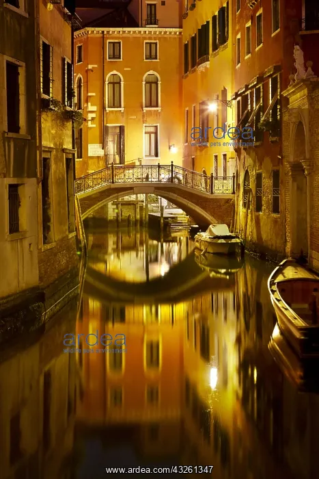 : DIG, geography / travel, Italy, Venice, canal near : DIG, geography / travel, Italy, Venice, canal near