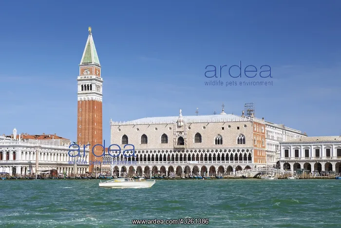 : DIG, geography / travel, Italy, Venice, Doge's : DIG, geography / travel, Italy, Venice, Doge's