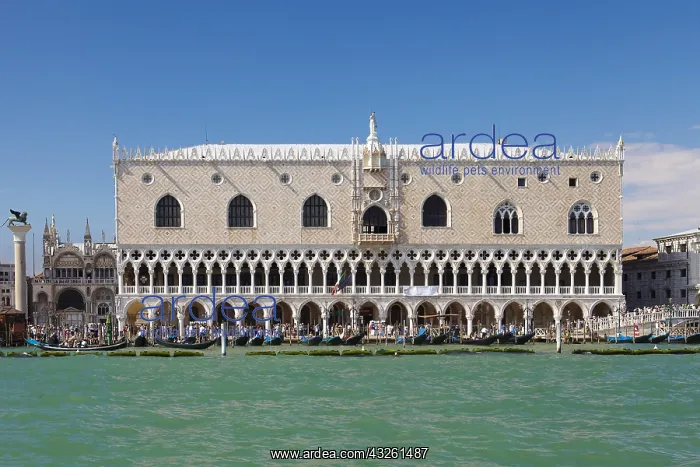 : DIG, geography / travel, Italy, Venice, Doge's : DIG, geography / travel, Italy, Venice, Doge's