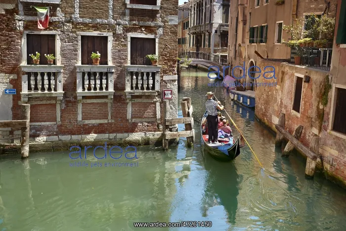 : DIG, geography / travel, Italy, Venice, gondola : DIG, geography / travel, Italy, Venice, gondola