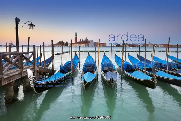 : DIG, geography / travel, Italy, Venice, gondolas : DIG, geography / travel, Italy, Venice, gondolas