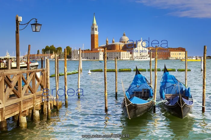 : DIG, geography / travel, Italy, Venice, gondolas : DIG, geography / travel, Italy, Venice, gondolas