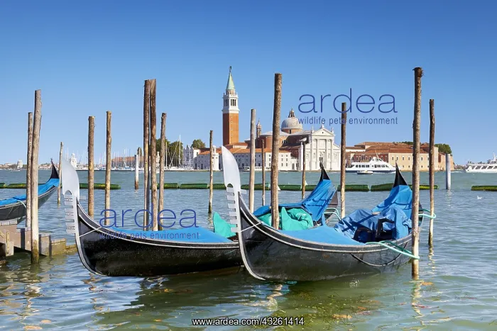 : DIG, geography / travel, Italy, Venice, gondolas : DIG, geography / travel, Italy, Venice, gondolas