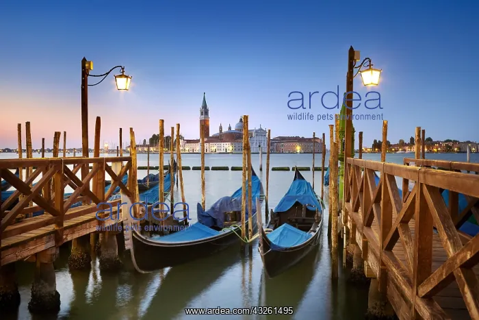: DIG, geography / travel, Italy, Venice, gondolas : DIG, geography / travel, Italy, Venice, gondolas