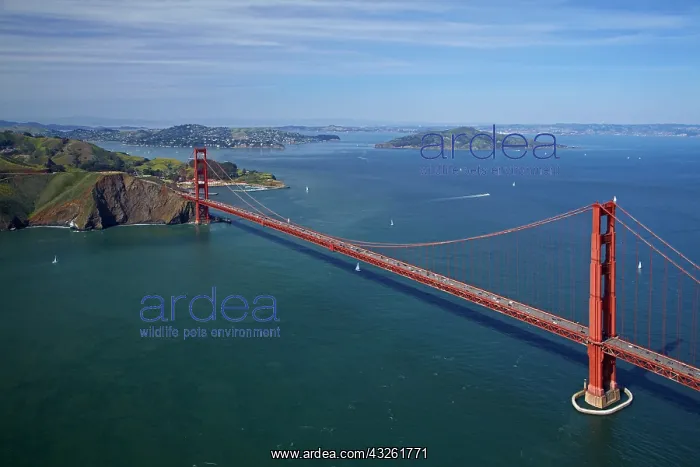 : DIG, geography / travel, USA, California, San Francisco : DIG, geography / travel, USA, California, San Francisco