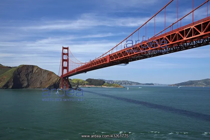 : DIG, geography / travel, USA, California, San Francisco : DIG, geography / travel, USA, California, San Francisco