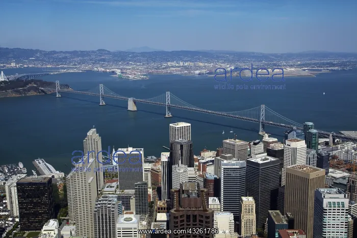 : DIG, geography / travel, USA, California, San Francisco : DIG, geography / travel, USA, California, San Francisco
