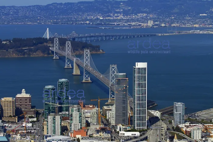 : DIG, geography / travel, USA, California, San Francisco : DIG, geography / travel, USA, California, San Francisco