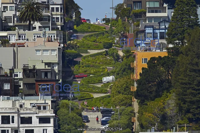 : DIG, geography / travel, USA, California, San Francisco : DIG, geography / travel, USA, California, San Francisco