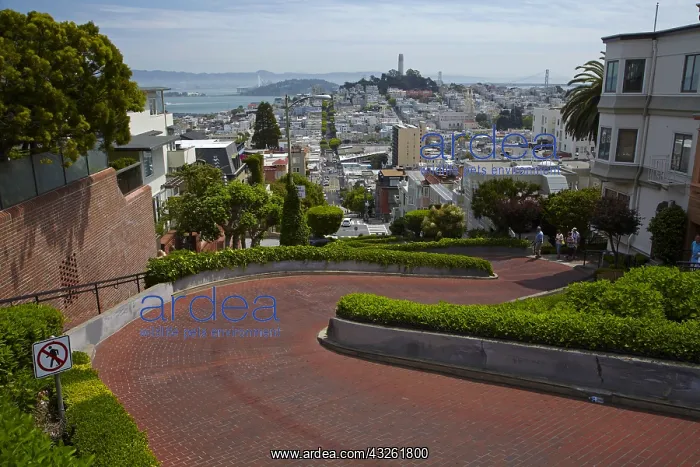 : DIG, geography / travel, USA, California, San Francisco : DIG, geography / travel, USA, California, San Francisco