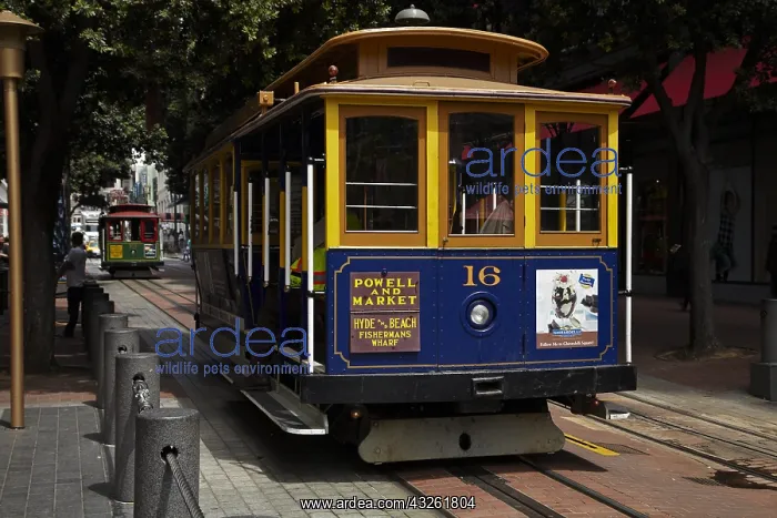 : DIG, geography / travel, USA, California, San Francisco : DIG, geography / travel, USA, California, San Francisco