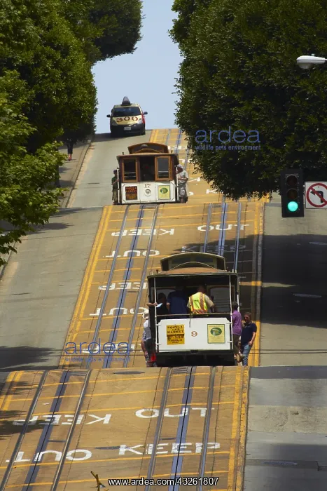 : DIG, geography / travel, USA, California, San Francisco : DIG, geography / travel, USA, California, San Francisco