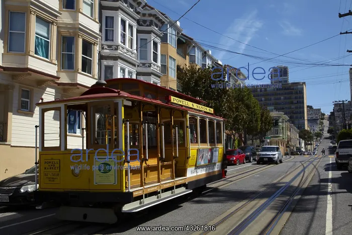 : DIG, geography / travel, USA, California, San Francisco : DIG, geography / travel, USA, California, San Francisco