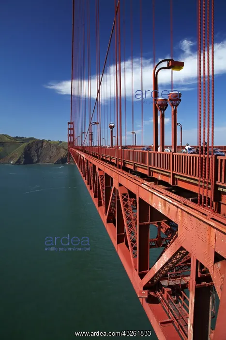 : DIG, geography / travel, USA, California, San Francisco : DIG, geography / travel, USA, California, San Francisco
