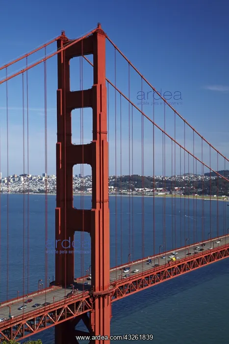 : DIG, geography / travel, USA, California, San Francisco : DIG, geography / travel, USA, California, San Francisco