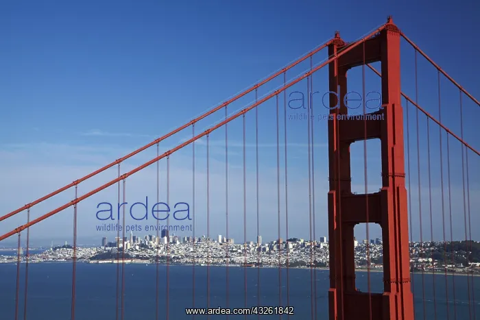 : DIG, geography / travel, USA, California, San Francisco : DIG, geography / travel, USA, California, San Francisco