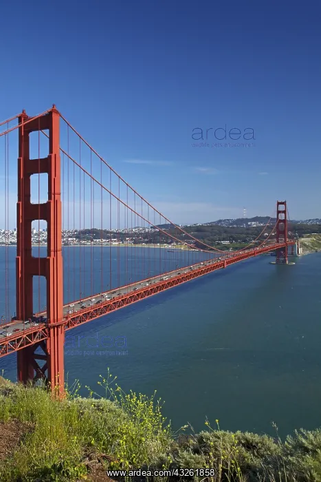 : DIG, geography / travel, USA, California, San Francisco : DIG, geography / travel, USA, California, San Francisco