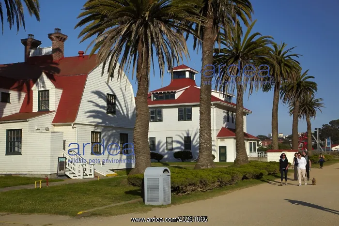 : DIG, geography / travel, USA, California, San Francisco : DIG, geography / travel, USA, California, San Francisco