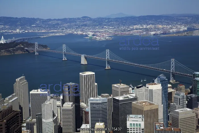 : DIG, geography / travel, USA, California, San Francisco : DIG, geography / travel, USA, California, San Francisco
