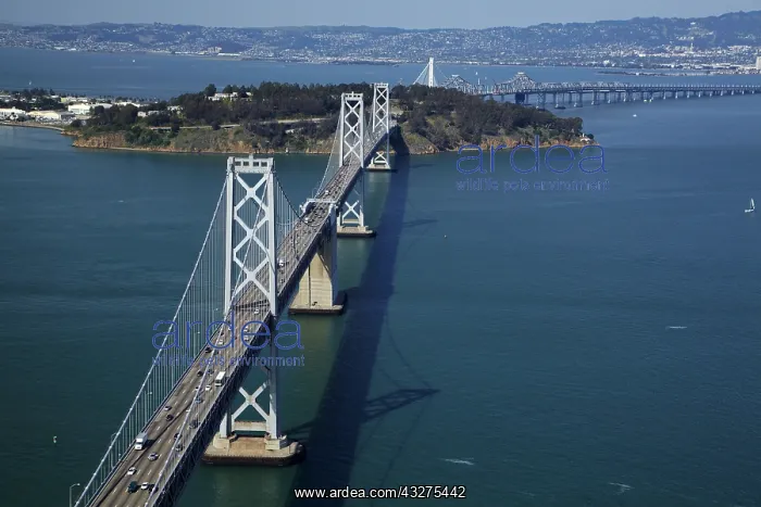 : DIG, geography / travel, USA, California, San Francisco : DIG, geography / travel, USA, California, San Francisco