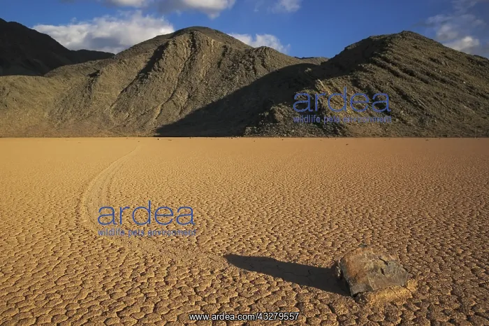 : DIG, geography / travel, USA, California, Racetrack : DIG, geography / travel, USA, California, Racetrack