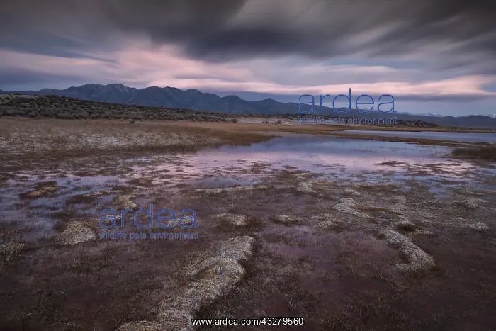 : DIG, geography / travel, USA, California, Alkaline : DIG, geography / travel, USA, California, Alkaline