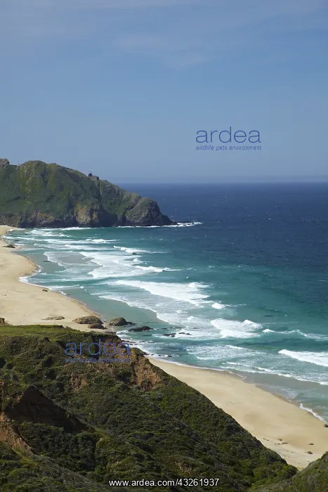 : DIG, geography / travel, USA, California, Beach : DIG, geography / travel, USA, California, Beach