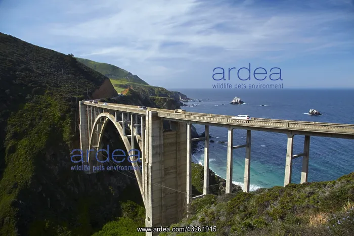 : DIG, geography / travel, USA, California, Bixby : DIG, geography / travel, USA, California, Bixby