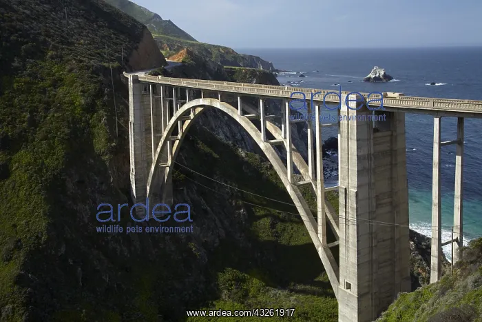 : DIG, geography / travel, USA, California, Bixby : DIG, geography / travel, USA, California, Bixby